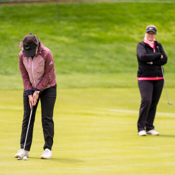 temp alt for theme iandt