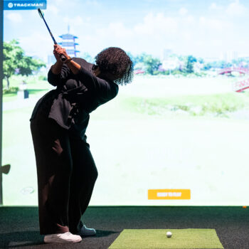 temp alt for theme iandt